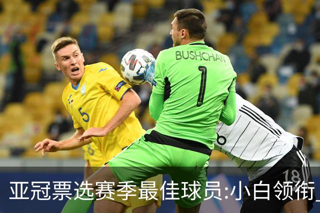 亚冠票选赛季最佳球员:小白领衔 奥古比埃拉上榜